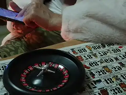 VeneRed online show from November 12, 2025, 7:18 pm