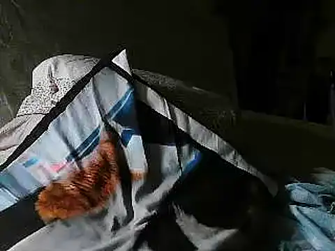 Snapshot of VeneRed chatting on July 2, 2026, 8:26 pm VeneRed online show from July 2, 2026, 8:26 pm