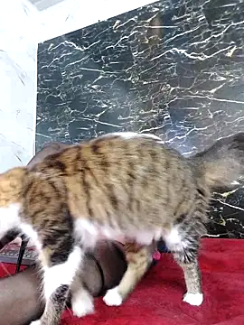 crislingery dolli online show from October 12, 2025, 1:45 pm