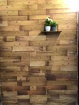 thekingofpleasure1 online show from December 11, 2024, 7:53 am