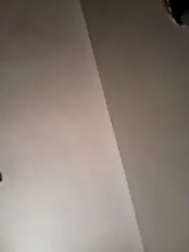 Vilan-86 online show from February 4, 2026, 4:24 pm