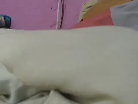 Snapshot of Cheliafun chatting on June 29, 2026, 1:33 pm Cheliafun online show from June 29, 2026, 1:33 pm