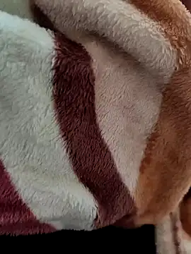 Snapshot of Marcusandmarissa8340 chatting on December 20, 2024, 5:47 am Marcusandmarissa8340 online show from December 20, 2024, 5:47 am