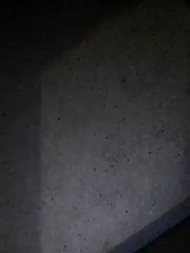Snapshot of Leocesar37 chatting on July 23, 2026, 4:54 am Leocesar37 online show from July 23, 2026, 4:54 am