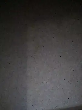 Snapshot of Leocesar37 chatting on July 24, 2026, 3:24 am Leocesar37 online show from July 24, 2026, 3:24 am
