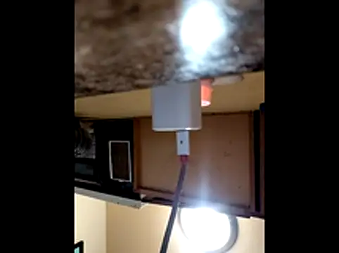 Lexxstacy online show from November 22, 2025, 2:32 am