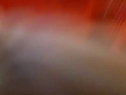 Snapshot of Lexxstacy chatting on July 13, 2026, 9:03 pm Lexxstacy online show from July 13, 2026, 9:03 pm