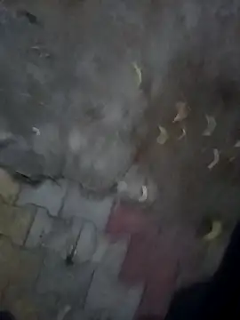 Snapshot of Cv_69 chatting on October 21, 2025, 1:32 pm Cv 69 online show from October 21, 2025, 1:32 pm