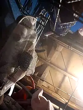 Whipit323 online show from December 22, 2024, 5:42 pm