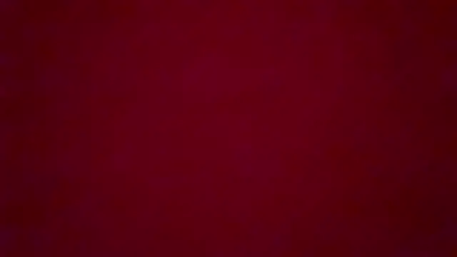 Snapshot of little_fox_alisa chatting on March 4, 2025, 9:43 pm little fox alisa online show from March 4, 2025, 9:43 pm