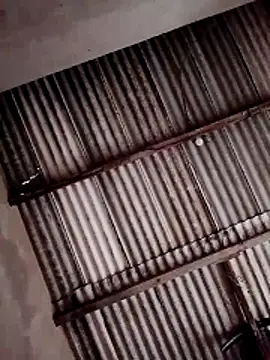 Snapshot of Viny459 chatting on December 14, 2025, 8:03 pm Viny459 online show from December 14, 2025, 8:03 pm