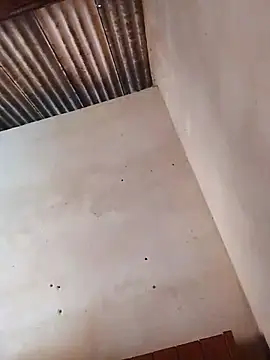 Snapshot of Viny459 chatting on December 15, 2025, 11:16 am Viny459 online show from December 15, 2025, 11:16 am