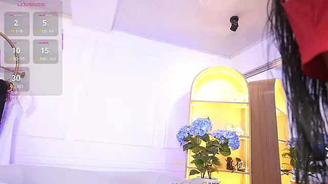 elasummer online show from November 20, 2025, 12:17 pm