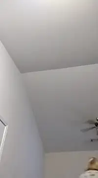 Playmate86 online show from December 2, 2024, 5:32 am