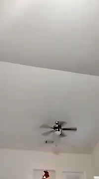 Playmate86 online show from December 5, 2024, 4:15 am