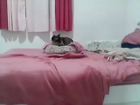 Snapshot of kslmi_au-sts chatting on September 13, 2025, 11:05 pm kslmi au-sts online show from September 13, 2025, 11:05 pm