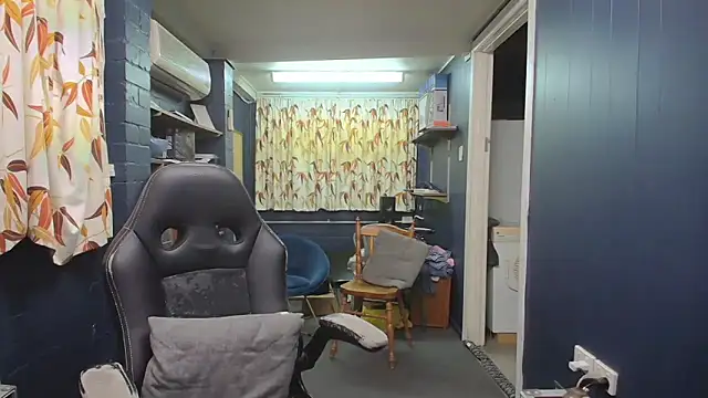 tilobinder online show from October 8, 2025, 1:56 pm