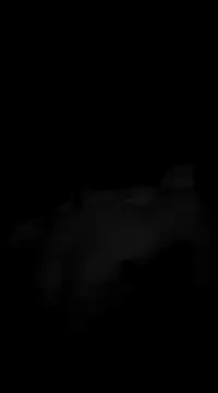 Snapshot of Deniell-01 chatting on March 19, 2025, 10:20 pm Deniell-01 online show from March 19, 2025, 10:20 pm