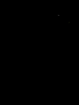 NiceJ81 online show from November 28, 2025, 3:34 pm