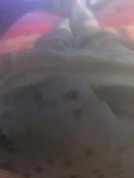 Snapshot of solomec chatting on September 25, 2025, 6:41 am solomec online show from September 25, 2025, 6:41 am