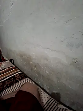 Snapshot of menakshiiikaur chatting on December 17, 2024, 2:33 pm menakshiiikaur online show from December 17, 2024, 2:33 pm