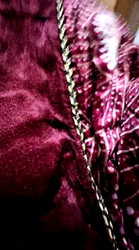 Snapshot of menakshiiikaur chatting on December 24, 2024, 2:22 pm menakshiiikaur online show from December 24, 2024, 2:22 pm