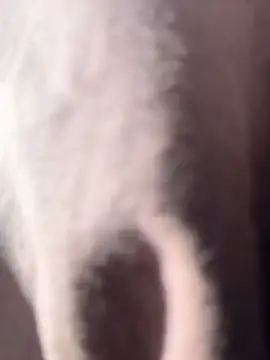 vivicolibri online show from December 18, 2025, 8:56 pm