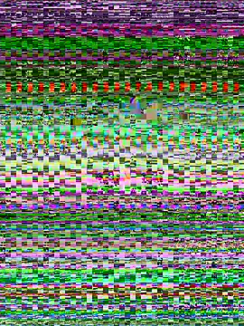 Snapshot of senoritaseno chatting on February 11, 2025, 9:03 pm senoritaseno online show from February 11, 2025, 9:03 pm