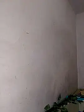 Snapshot of Alisson_420 chatting on February 11, 2025, 6:55 pm Alisson 420 online show from February 11, 2025, 6:55 pm