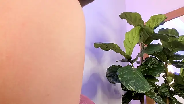 nicolle pierce online show from December 22, 2025, 1:44 pm