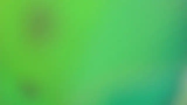 Sofia agudelo online show from November 14, 2025, 3:05 pm