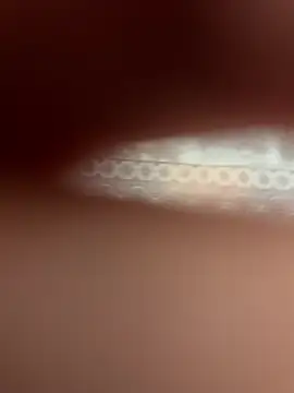 poision51 online show from April 11, 2026, 6:32 am