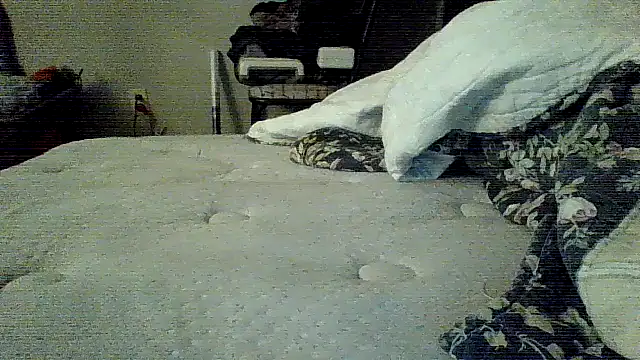 Snapshot of Jay81 chatting on January 19, 2026, 3:21 am Jay81 online show from January 19, 2026, 3:21 am