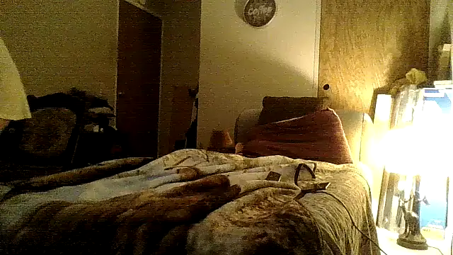 Jay81 online show from December 18, 2024, 9:04 am