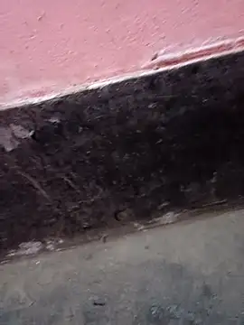 ScopalOr online show from February 3, 2025, 7:40 am