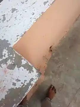 PracticalGum40 online show from February 21, 2026, 3:08 am