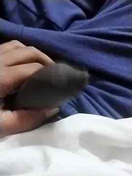 Snapshot of Muscular02 chatting on February 14, 2025, 3:05 pm Muscular02 online show from February 14, 2025, 3:05 pm