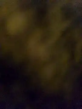 Snapshot of LSD321@xh chatting on October 5, 2025, 6:09 pm LSD321xh online show from October 5, 2025, 6:09 pm