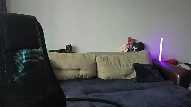 Snapshot of Ostin_meow chatting on July 3, 2026, 1:06 pm Ostin meow online show from July 3, 2026, 1:06 pm
