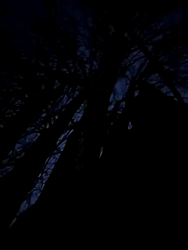 Fuckboy4public online show from November 20, 2025, 9:58 pm