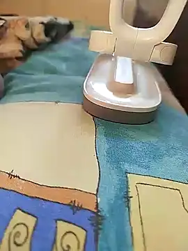 Snapshot of sanek1995sexx chatting on January 2, 2025, 12:24 pm sanek1995sexx online show from January 2, 2025, 12:24 pm