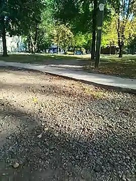 Snapshot of sanek1995sexx chatting on September 26, 2025, 12:45 pm sanek1995sexx online show from September 26, 2025, 12:45 pm