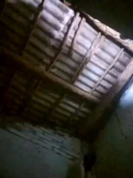 Feli230990 online show from December 20, 2025, 4:48 am