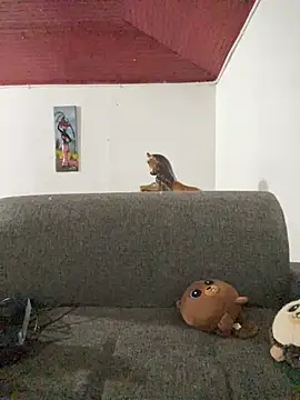 Snapshot of Junihn0 chatting on October 26, 2025, 4:24 am Junihn0 online show from October 26, 2025, 4:24 am