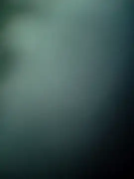 Snapshot of KUKU69XX chatting on December 18, 2025, 4:44 pm KUKU69XX online show from December 18, 2025, 4:44 pm