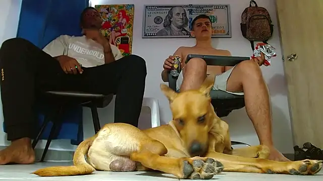 boss of cash online show from July 14, 2026, 6:25 pm