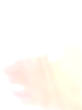 soy 5 online show from June 21, 2026, 3:23 am
