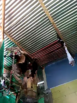 thamygomezz online show from September 9, 2025, 4:49 pm