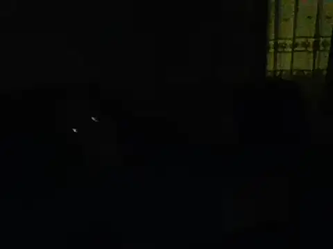 farock online show from January 11, 2025, 5:52 am