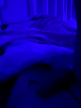 Fuss04 online show from October 31, 2025, 7:43 pm